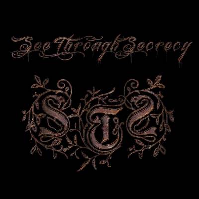 logo See Through Secrecy